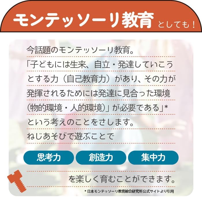酒井産業 郡上八幡のねじあそび（75ピース）