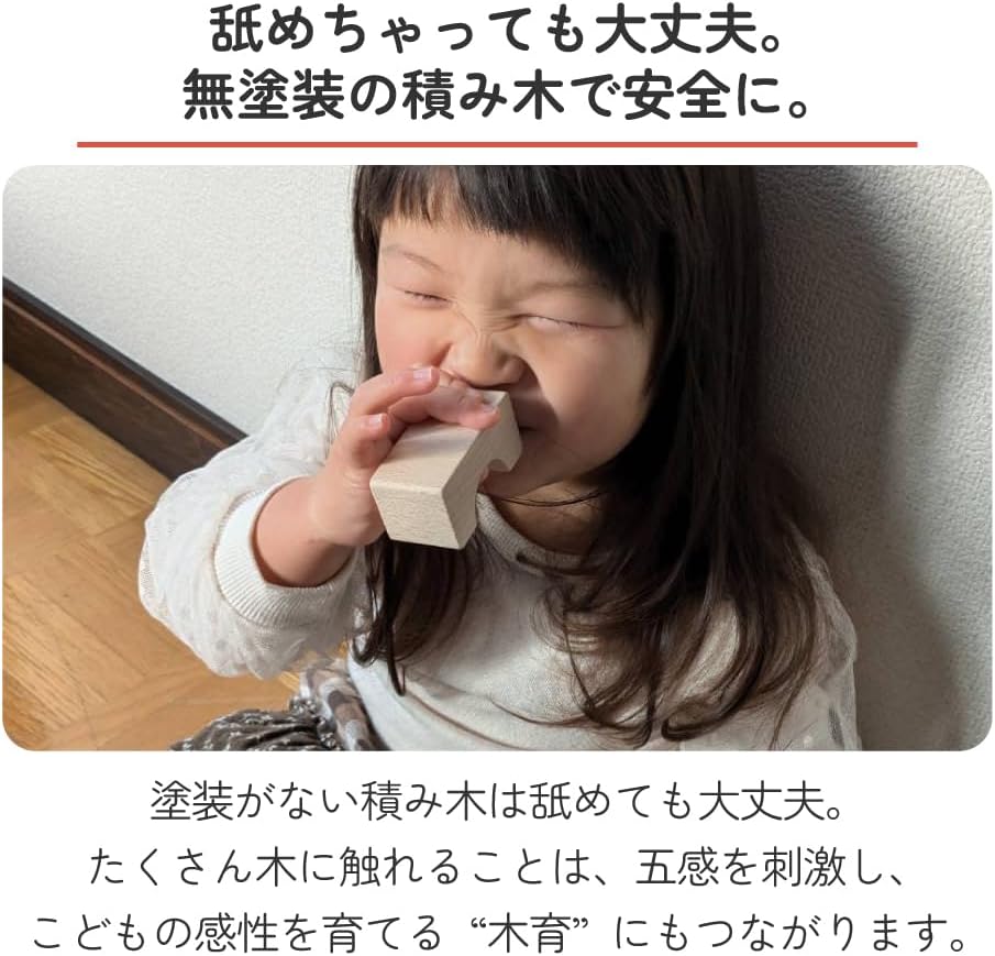 酒井産業 郡上八幡のくるま付つみ木 48ピース